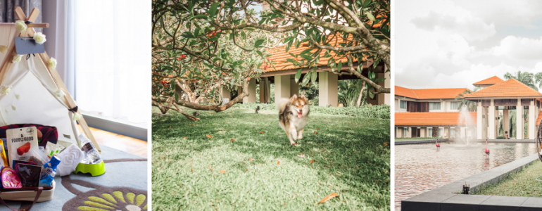 furkid-retreat