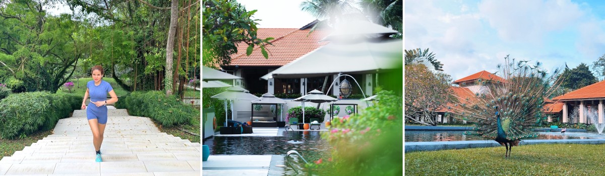 sofitel-website-header-5